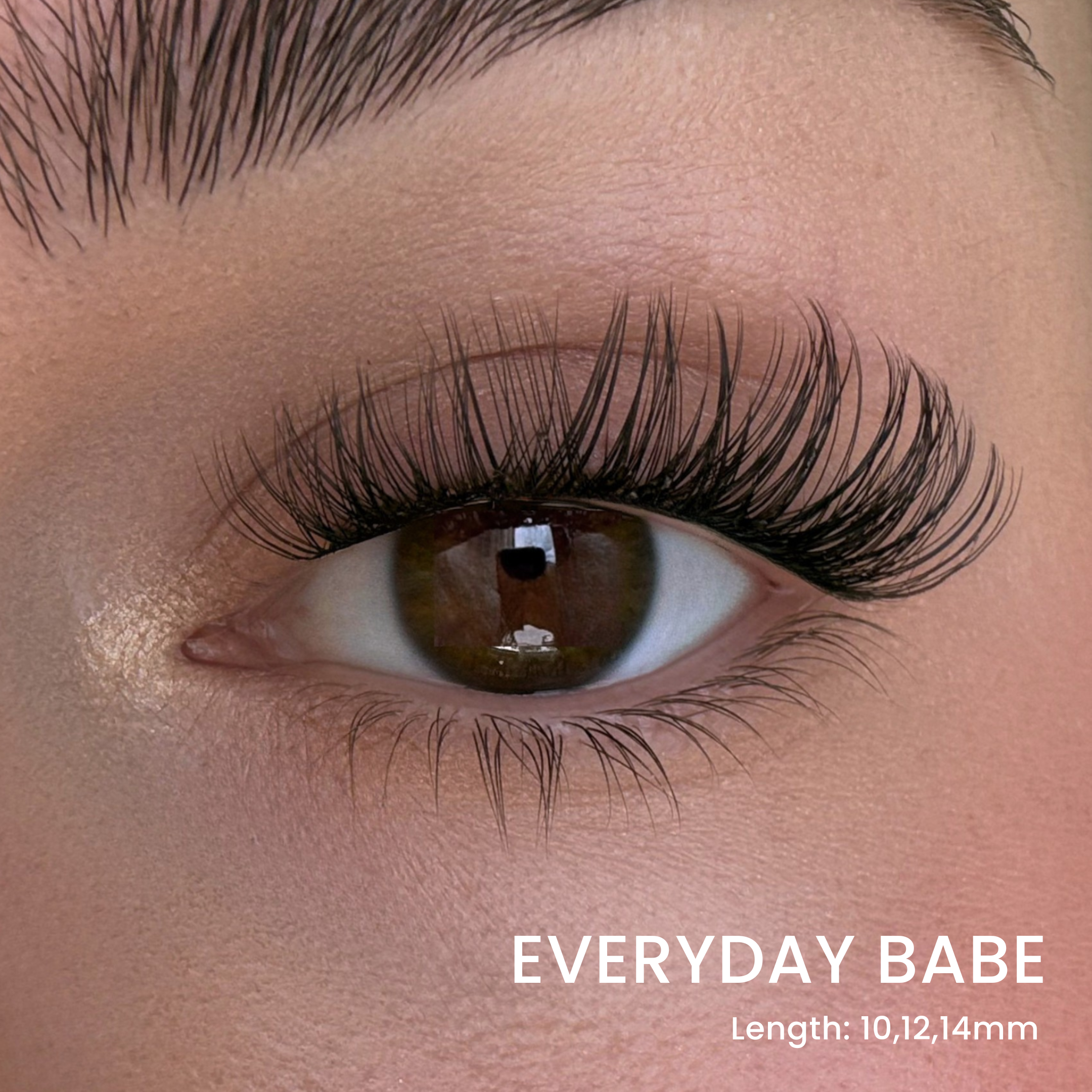 DIY Wimpern Starter Kit für Salon-Wimpern in unter 5 Minuten