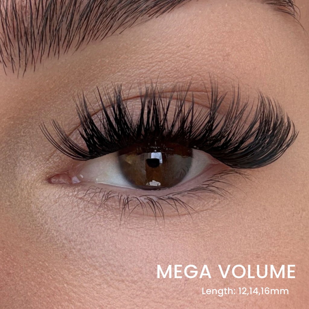 DIY Wimpern Starter Kit für Salon-Wimpern in unter 5 Minuten