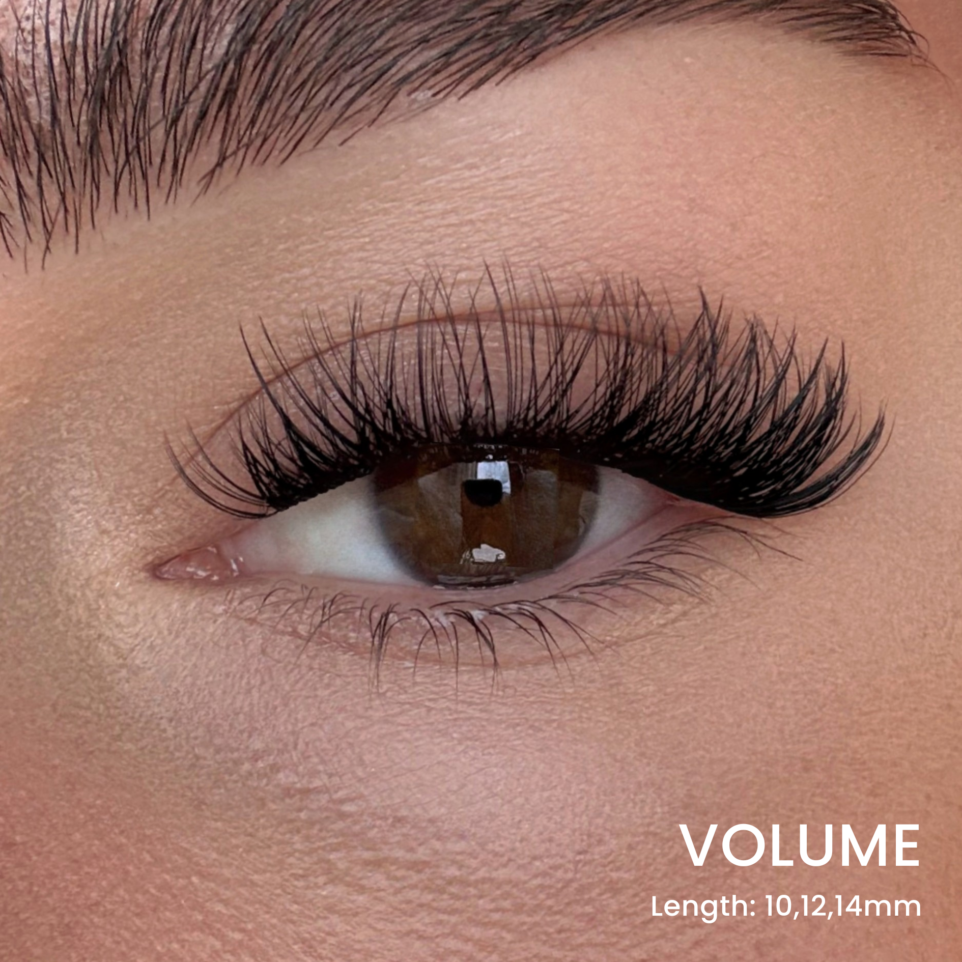 DIY Wimpern Starter Kit für Salon-Wimpern in unter 5 Minuten