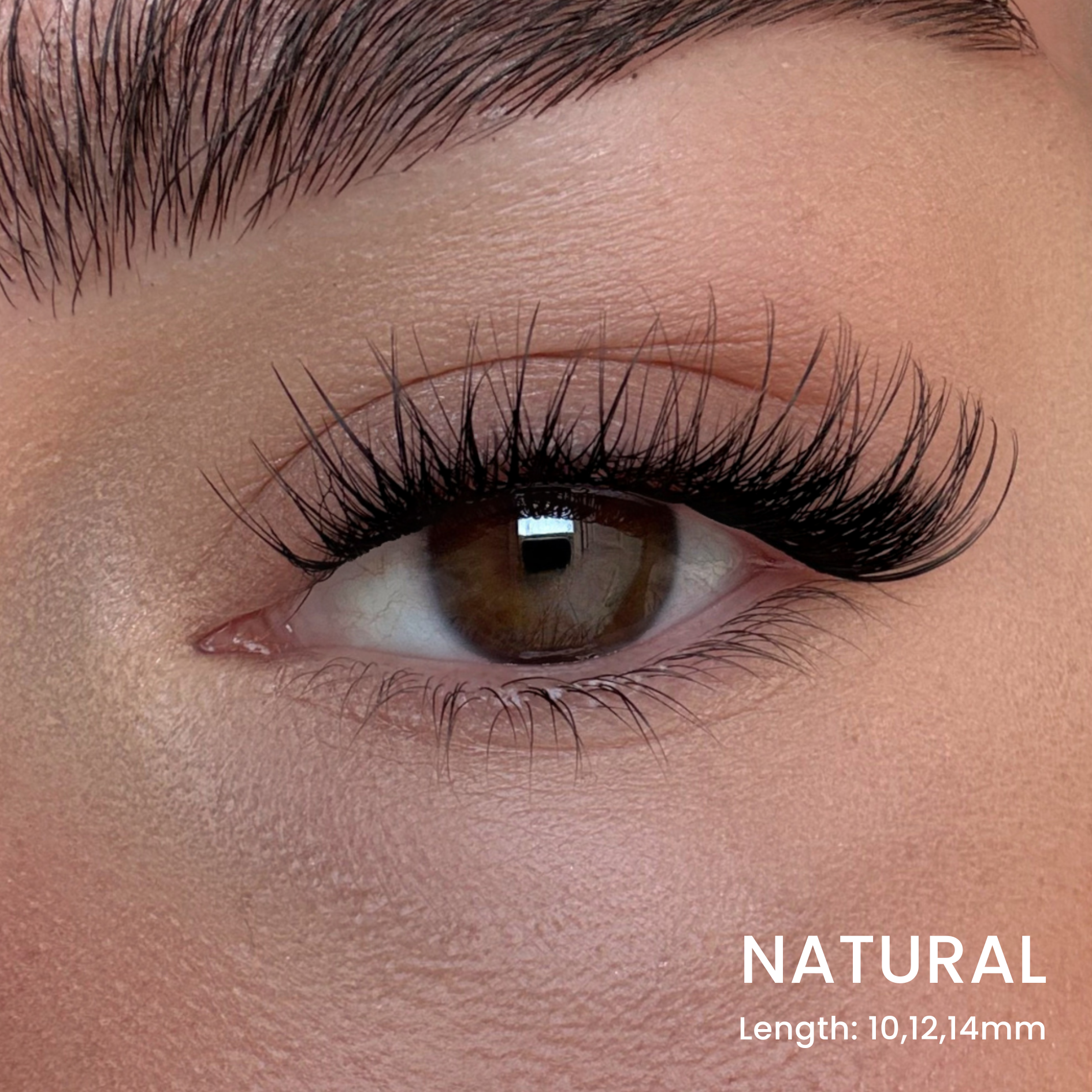 DIY Wimpern Starter Kit für Salon-Wimpern in unter 5 Minuten