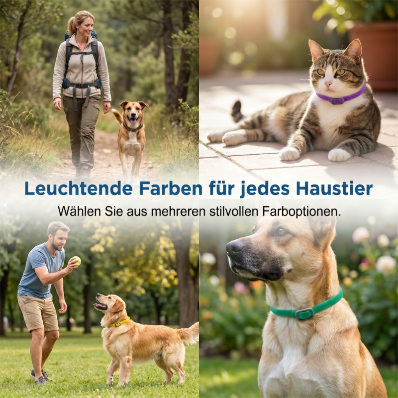 🛡️Halsband mit natürlichen ätherischen Ölen zur Abwehr von Schädlingen bei Haustieren