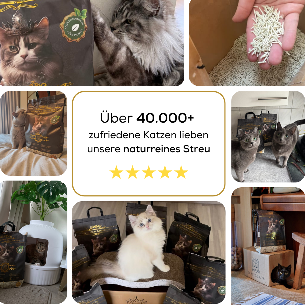 Natürliches Katzenstreu aus Erbsenfasern
