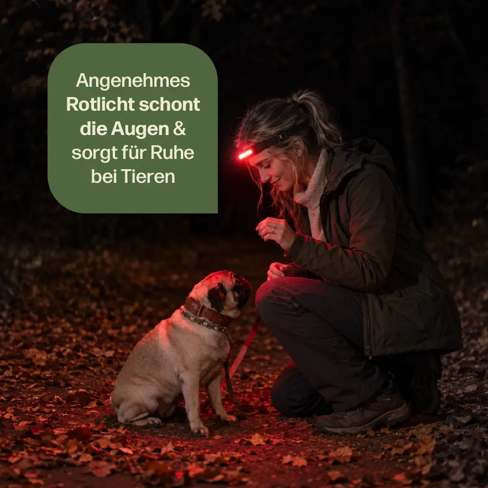 LED-Stirnlampe